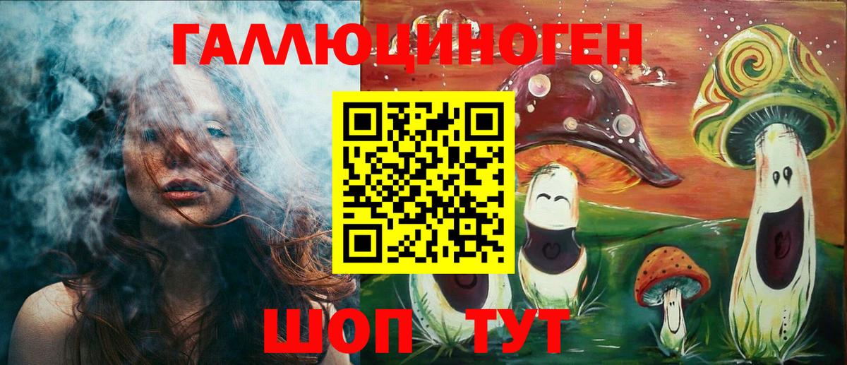 Галлюциногенные грибы Psilocybe Кропоткин