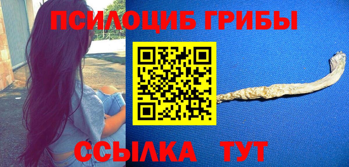 Кропоткин  Галлюциногенные грибы Psilocybe  Вход с VPN  Галлюциногенные грибы ЛСД 